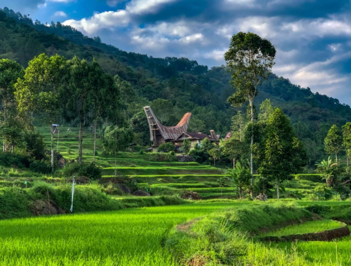 Отель Santai Toraja Рантепао Экстерьер фото